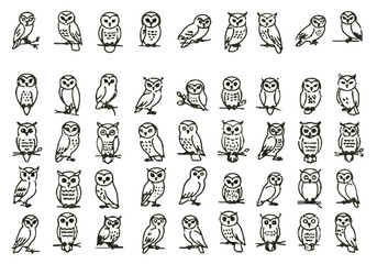 A Collection of Forty-Five Owls Depicted in a Variety of Poses and Angles Displaying their Unique Features with Their Eyes Widely Open and a Variety of Styles Shown	