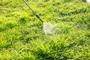 Spraying the grass in the garden with a garden sprayer against ticks and mosquitoes. Fighting...