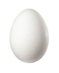 A single white egg centered on a black background with a smooth and clean surface texture visible clearly on transparent background
