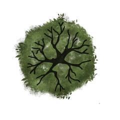 green tree for architecture 