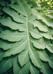  Lush Green Tropical Leaves