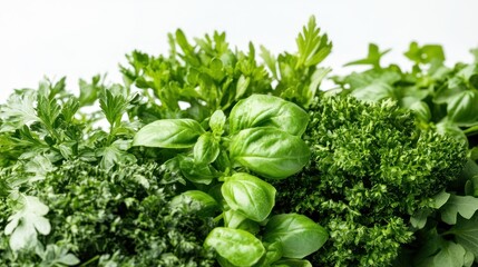 Obraz premium Fresh herbs close-up. Lush green leaves of various herbs tightly clustered