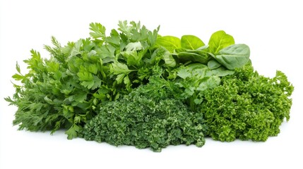 Obraz premium Fresh, vibrant green herbs, a mix of parsley and spinach