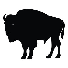 Silhouette of a Majestic American Bison Grazing on the Plains of America