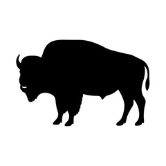 Silhouette of a North American Bison Grazing on a White Background