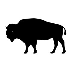 Silhouette of a Majestic Bison, a Symbol of the American West
