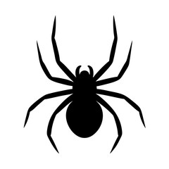 Black silhouette of a spider with long legs on a white background