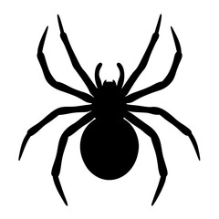 Silhouette of a large and scary spider on a white background
