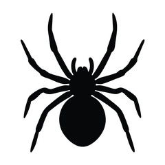 spider on a white background