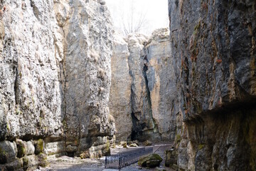 Beautiful canyon. Mountain gorge. Caucasus.