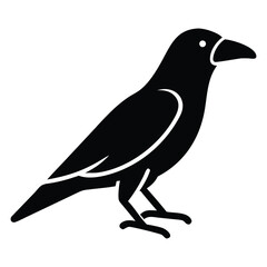 Obraz premium An iconic black raven stands alert on the ground, rendered in elegant silhouette