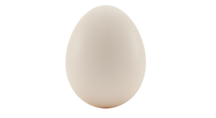White Egg PNG Transparent Background Image