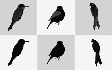 Six Minimalist Black Bird Silhouette Illustrations: Vector Icons for Web and Print Design, Black Bird Silhouettes Vector Set: Includes Finch, Sparrow, and Bunting Style Icons