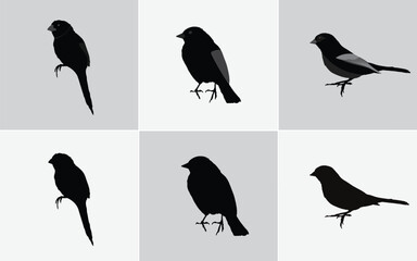 Six Minimalist Black Bird Silhouette Illustrations: Vector Icons for Web and Print Design, Black Bird Silhouettes Vector Set: Includes Finch, Sparrow, and Bunting Style Icons