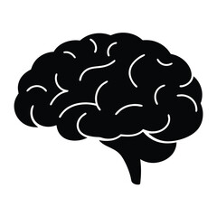 A Detailed Illustration of the Human Brain Anatomy Showing its Complex Structure and Convolutions
