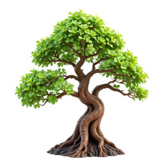 3D decorative money tree, transparent background
