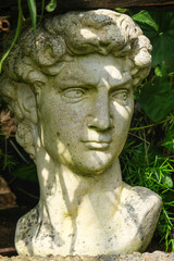 escultura michelangelo jardim plantas verde