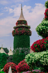 Photo of beautiful flowers in garden Dubai