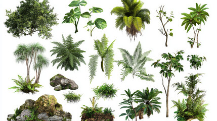 A collection of isolated tropical jungle flora elements including ferns, moss, trees, and rocks on a white background with clipping paths