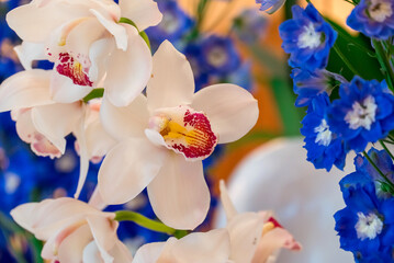  Beautiful flowers growing in the autumn garden