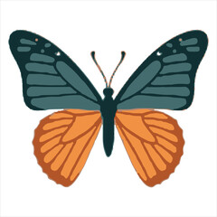 Adorable cartoon butterfly illustration with a solitary background for kids' visual inspiration