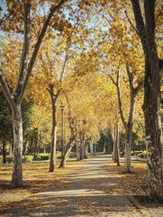 Scenic Vertical Park: Autumn Trees Creating an Idyllic Landscape in an Empty Garden