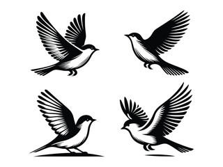 Fototapeta premium Bird Vector Icon Pack