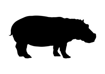 Silhouette of a hippopotamus – vector illustration