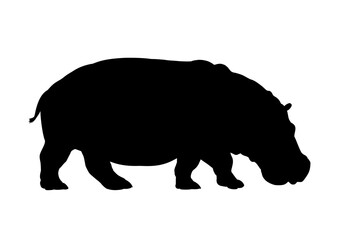 Silhouette of a hippopotamus – vector illustration