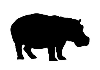 Silhouette of a hippopotamus – vector illustration