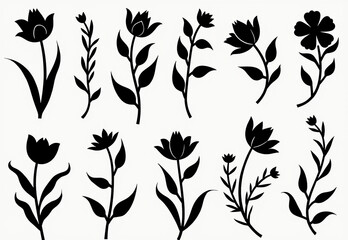 illustration of flowers and plants black on white background