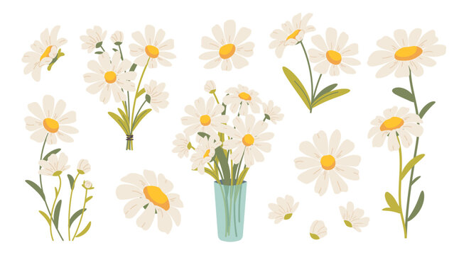 Set of flat daisies. Cute hand drawn chamomiles, spring and summer flowers. Vector botanical elements