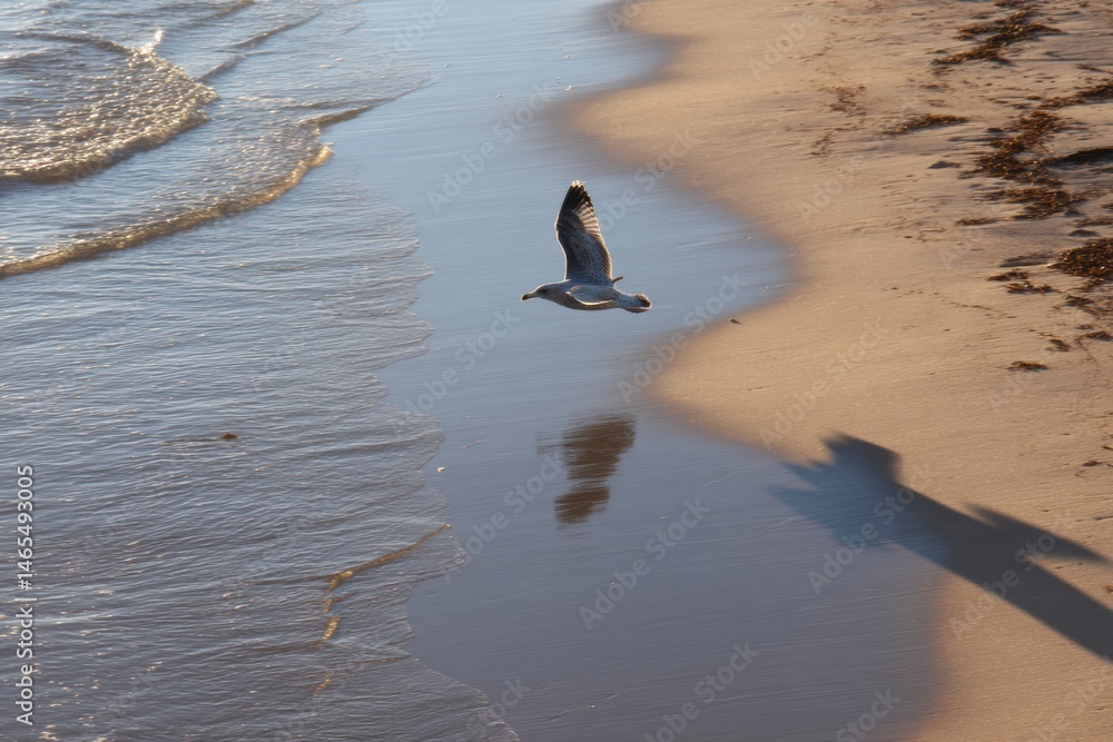 Poster seagull shadow gliding over sandy shore as waves gently caress the shoreline at dusk generative ai