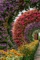 Photo of beautiful flowers in garden Dubai