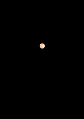 Pink Moon