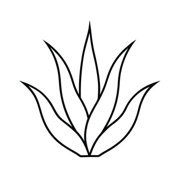 recommend clip art: aloe vera green leaf silhouette