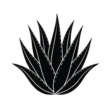 recommend clip art: vector aloe vera silhouette