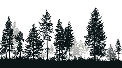 Obraz premium Fir tree forest panorama simple black silhouette vector isolated on white background - 