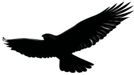 Obraz premium Flying eagle bird simple black silhouette vector isolated on white background - 