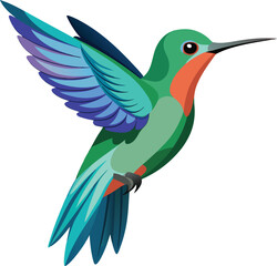 Fototapeta premium Hummingbird