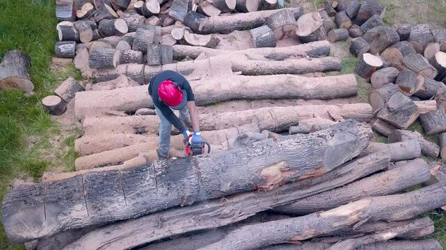 Lumberjack with a chainsaw cutting trees in the forest. Preparing firewood for winter. Top down view. Aerial view from drone
