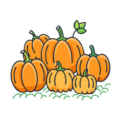 Harvest pumpkins illustration vector graphic for thanksgiving halloween and autumn season designs