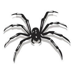 Black spider on a white background. Black spider. Vector illustration
