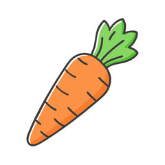 Illustration of a fresh orange carrot vegetable healthy eating food diet nutrition vegan raw carrot