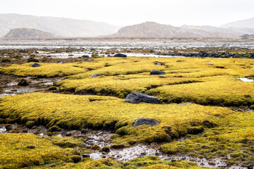 Low tide at Badnabay on the shore of Loch Laxford and at the NC500 in north-west Scotland.