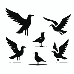 Obraz premium Seagul Silhouettes in black on a white background