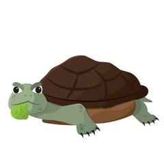 Cute turtle pet. Vector