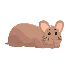 Chinchilla resting pet. Vector