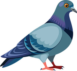 Pigeon