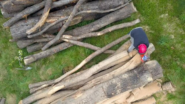 Lumberjack with a chainsaw cutting trees in the forest. Preparing firewood for winter. Top down view. Aerial view from drone
